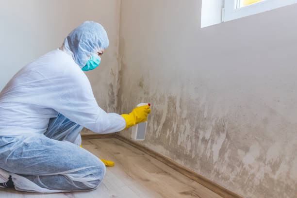 Mold Remediation specialist working in Warrenville